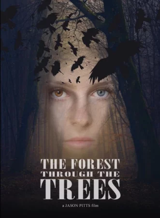 The Forest Through the Trees